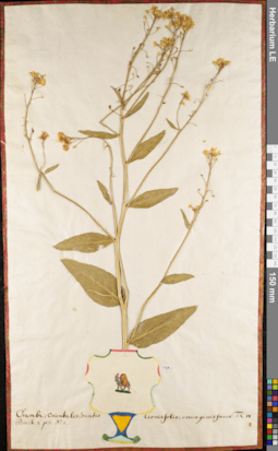 LE 01084181
