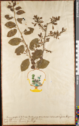 LE 01084190