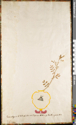 LE 01084198