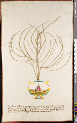 LE 01084201