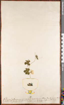 LE 01084213