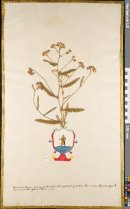 LE 01084237