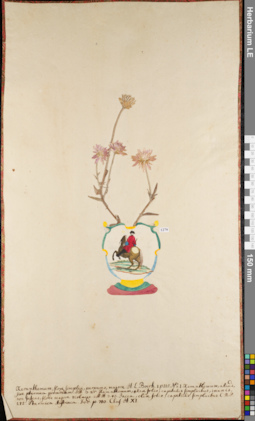 LE 01084241
