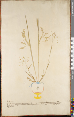 LE 01084247