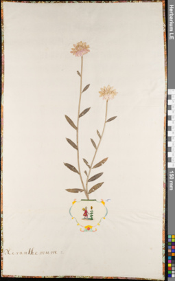 LE 01084254