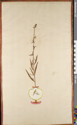 LE 01084256
