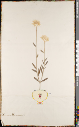 LE 01084258