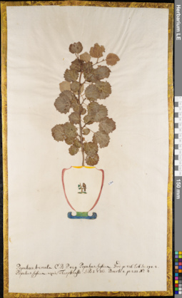 LE 01084262