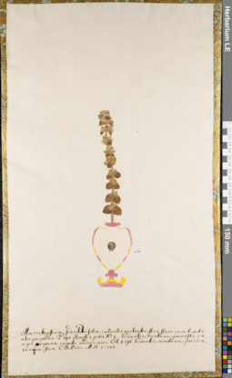 LE 01084312