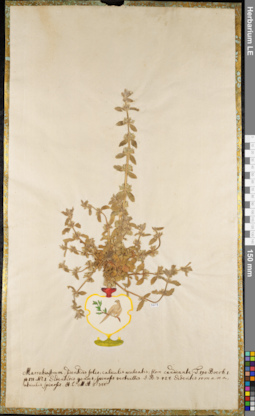 LE 01084316