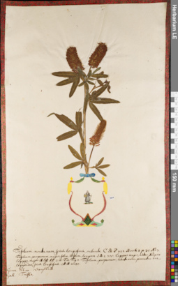 LE 01084325