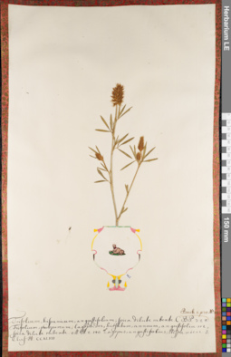 LE 01084329
