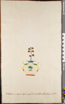 LE 01084337