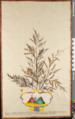 LE 01084370
