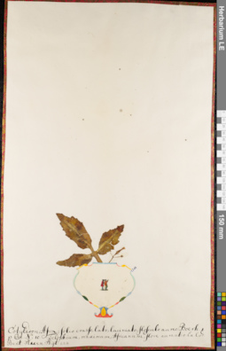 LE 01084380