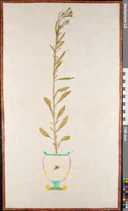 LE 01084392