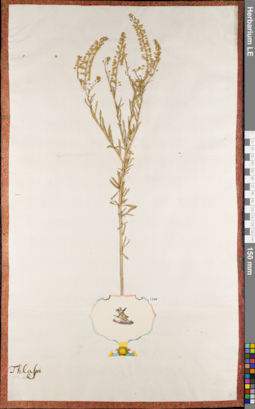 LE 01084394