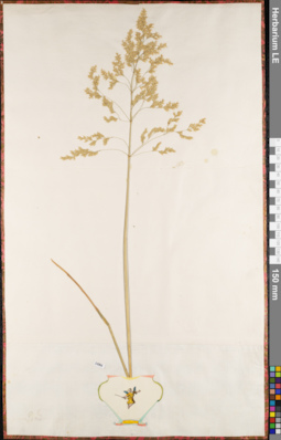 LE 01084402