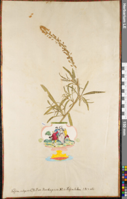 LE 01084443