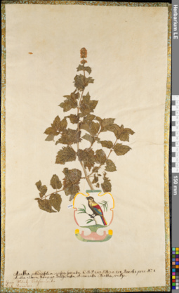 LE 01084444