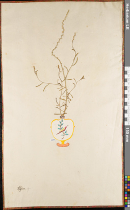 LE 01084451