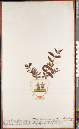 LE 01084468