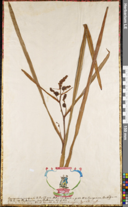 LE 01084472