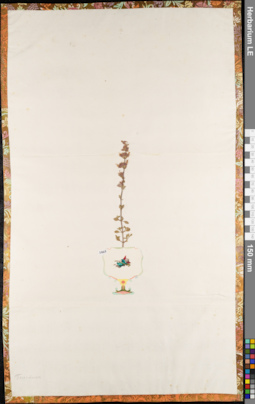 LE 01084473