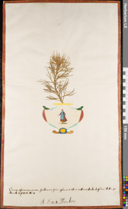 LE 01084474
