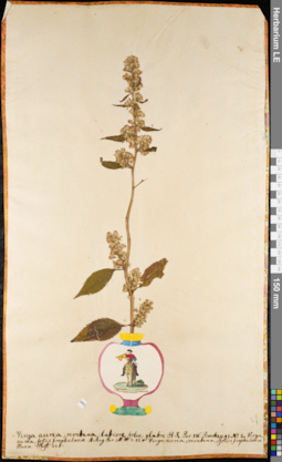 LE 01084489