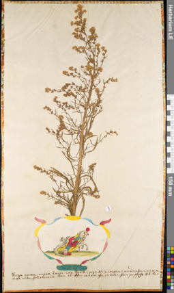 LE 01084490