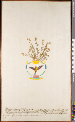 LE 01084491