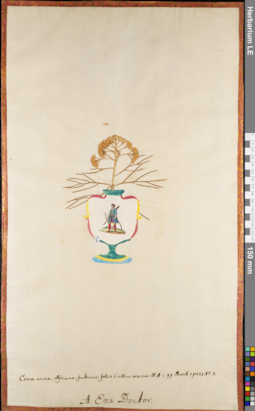 LE 01084515