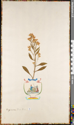 LE 01084539