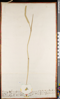 LE 01084569