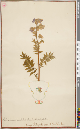LE 01084660