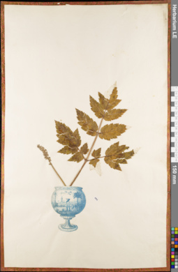 LE 01084669