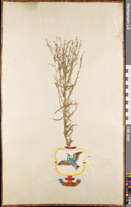 LE 01084673