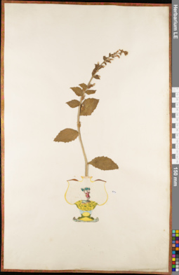 LE 01084676