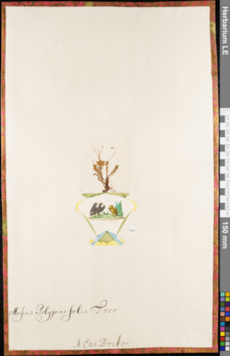LE 01084691