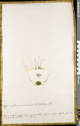LE 01084705