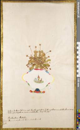 LE 01084708
