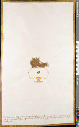 LE 01084739
