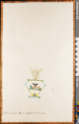 LE 01084807
