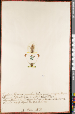 LE 01084808