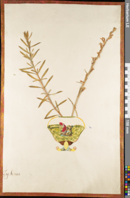 LE 01084809