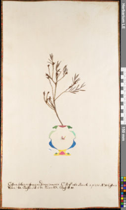 LE 01084824
