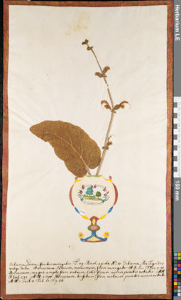 LE 01084826