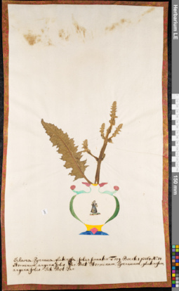 LE 01084830