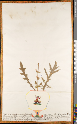 LE 01084831